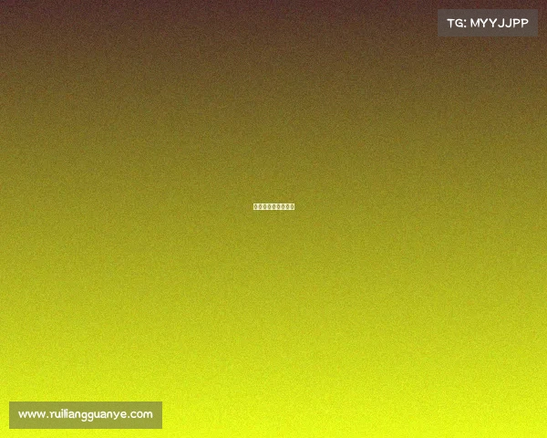 街头巷尾的日常印记